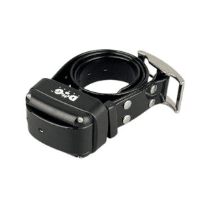 Radio collar educativo Arcea Dogtrace Easy