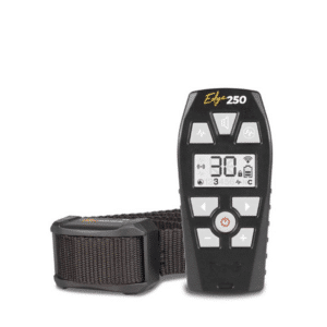 Radio collar educativo Arcea Dogtrace EDGE 250