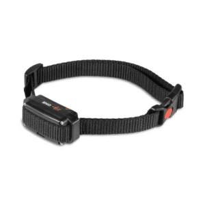 Collar educativo Adicional Arcea EDGE ONE