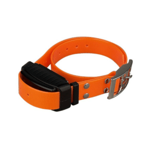 Collar educativo Adicional Arcea Professional