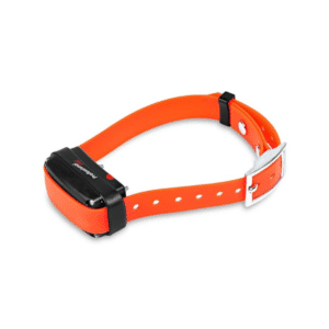 Collar educativo Adicional Arcea Professional One